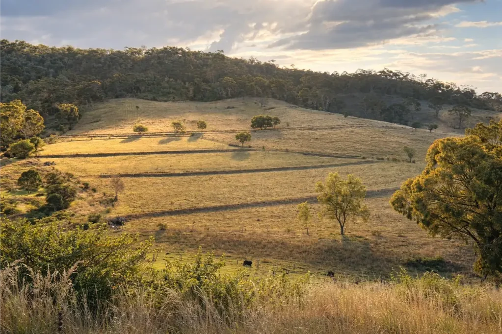 West Haldon Grazing & lifestyle property over 3 lots!