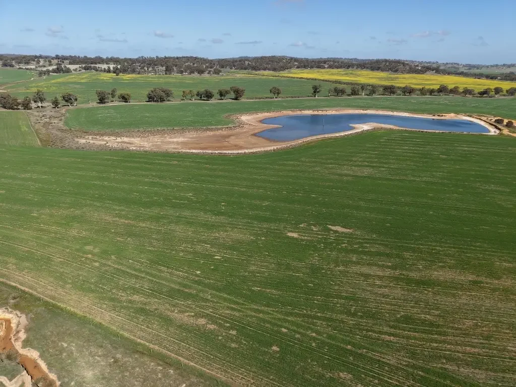 Dale 560 Acres in the Dale                                      227ha (560 acres)