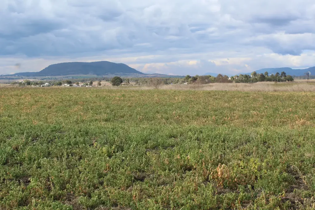 Swan Creek QUALITY CROPPING & LIFESTYLE BLOCK CLOSE TO WARWICK