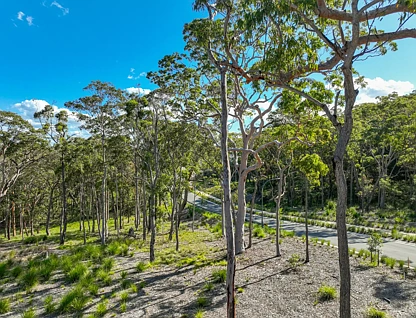 22 Freetail Drive, Murrays Beach, NSW 2281, 0部屋, 0バスルーム, Section