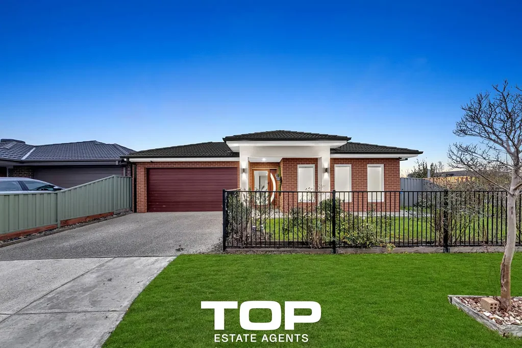 Cranbourne East 4 Slaapkamer Contemporary Living with Room for Everyone