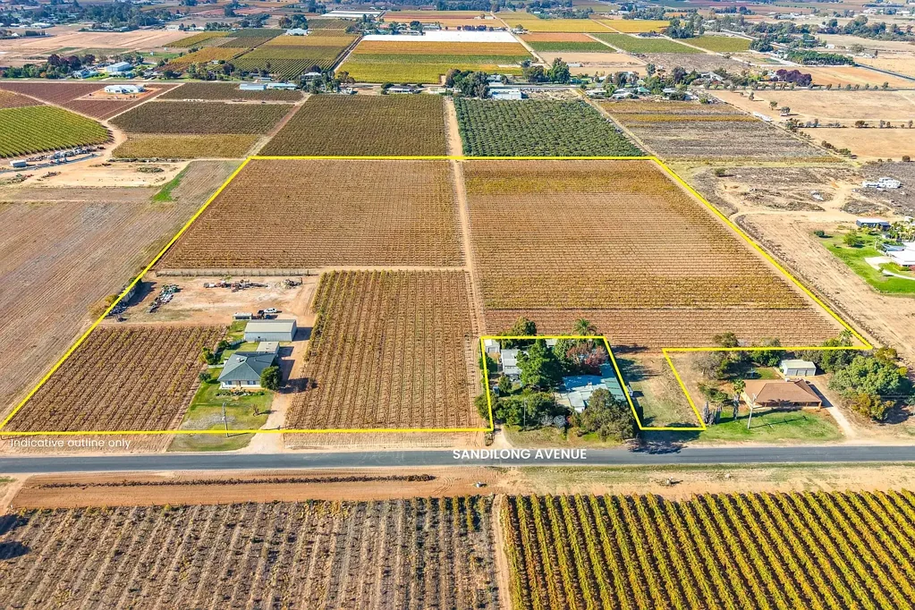 Nichols Point Location! Location! Location! Nichols Point Vineyard 7.591Ha