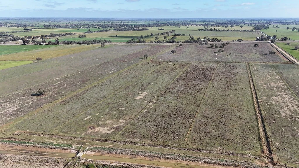 Cohuna  Prime Grazing Block with Irrigation Infrastructure