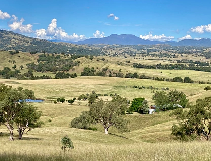 227 Miranee Road, Scone, NSW 2337, 3 ਕਮਰੇ, 2 ਬਾਥਰੂਮ, Lifestyle Property