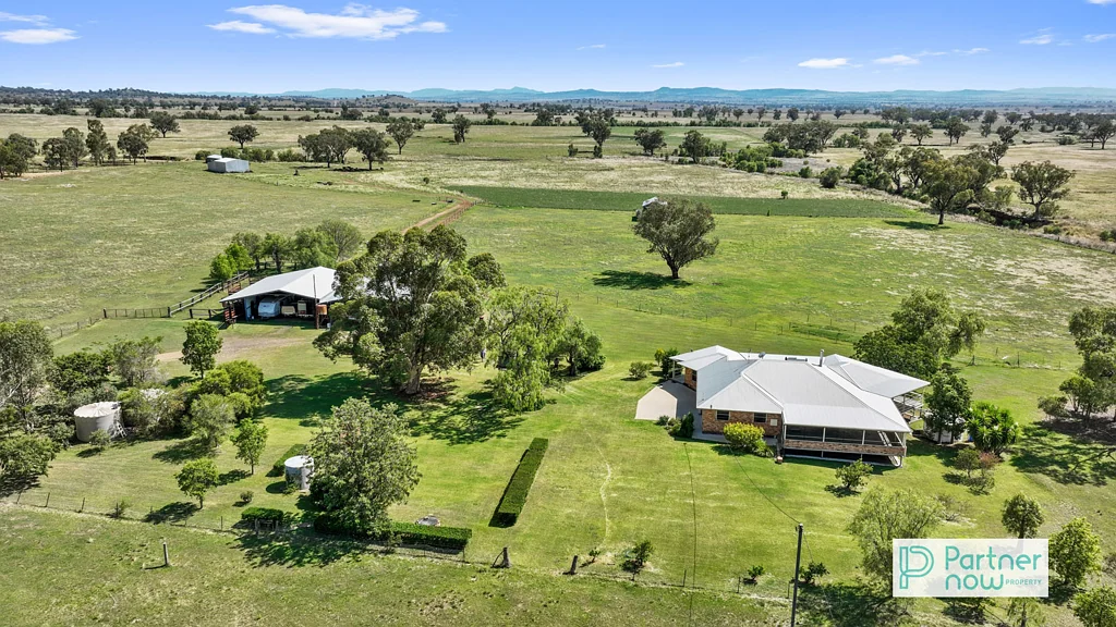 Tamworth  Elstern - Lifestyle & Farming Opportunity Near Tamworth