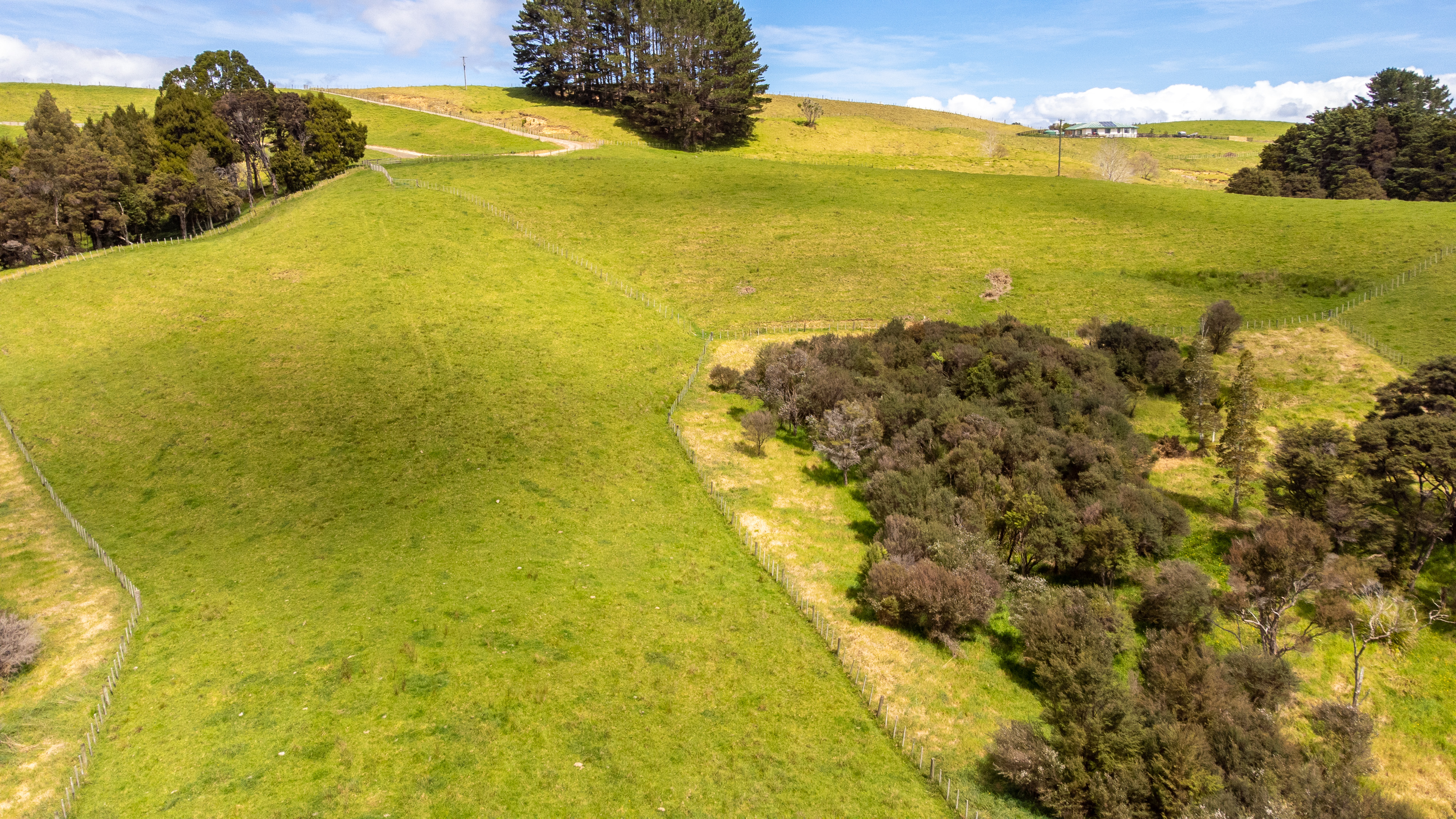 608b West Coast Road, Makarau, Auckland - Rodney, 1 રૂમ, 0 બાથરૂમ, Lifestyle Section