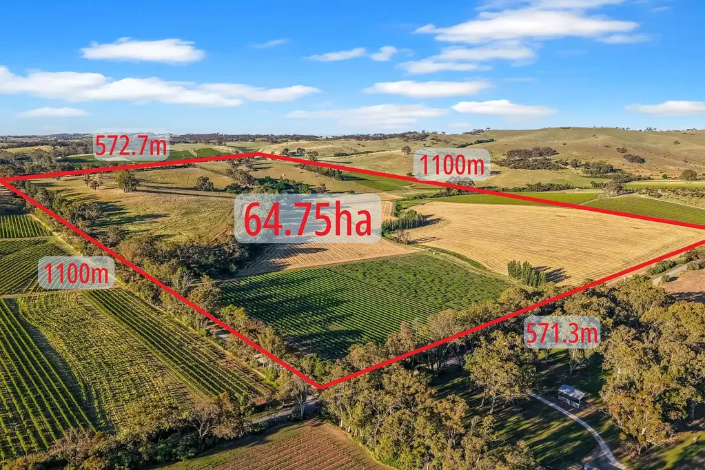 Penwortham Grazing / Cropping/ Vineyard in the heart of the Valley