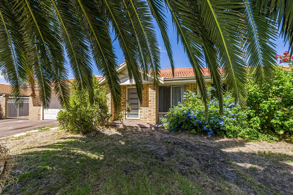 41 Wardell Loop, Dudley Park, WA 6210