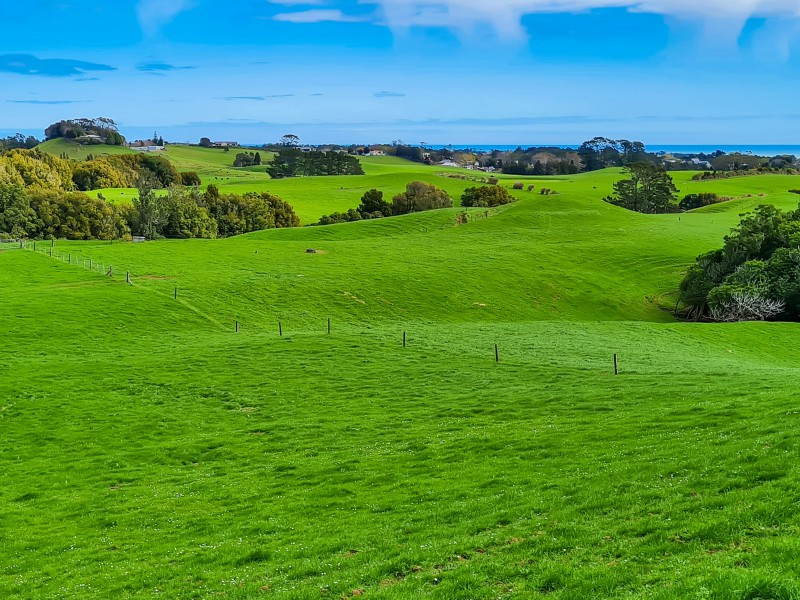 88 Dover Road, Okato, New Plymouth, 0 ਕਮਰੇ, 0 ਬਾਥਰੂਮ