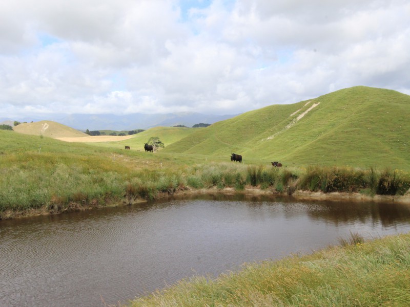 127 North Road, Eketahuna, Tararua, 0 phòng ngủ, 0 phòng tắm