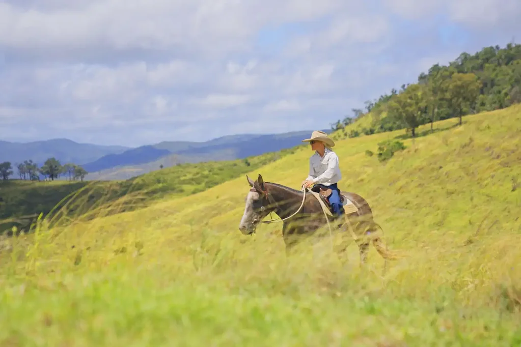 Mount Sylvia  Welcome to "Paradise": A Unique Opportunity in the Heart of Lockyer Valley