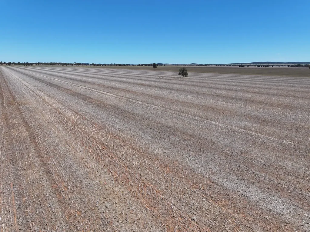 Caragabal Prime Cropping Opportunity!