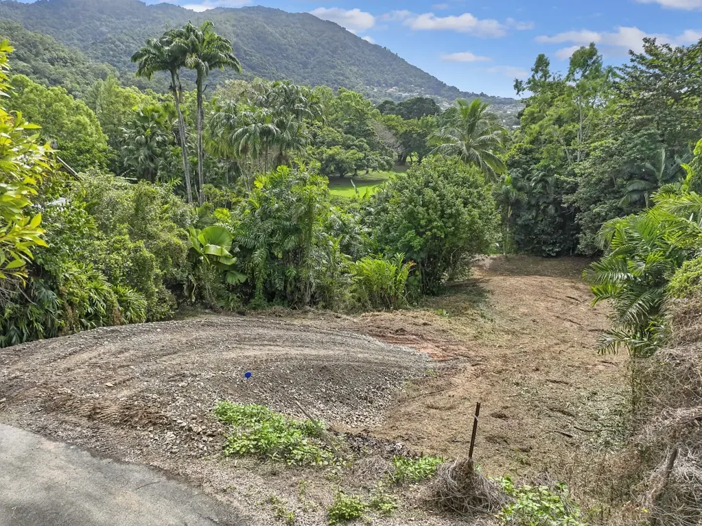 Earlville  Beautiful Backdrop For Your Dream Home