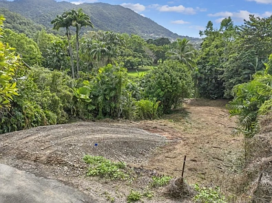 Earlville Beautiful Backdrop For Your Dream Home