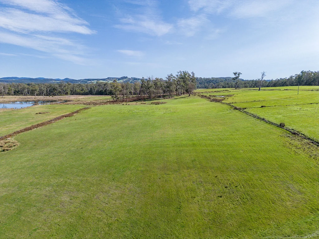 Exeter Rural Opportunity on 45 Acres - Part of 234 Winkleigh Rd, Exeter
