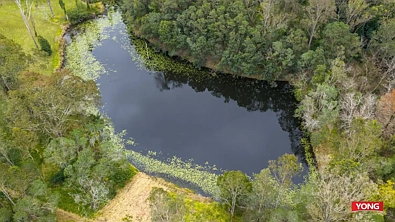 47 BYCROFT RD, PULLENVALE QLD 4069, 2 Kuwarto, 1 Banyo, Lifestyle Section