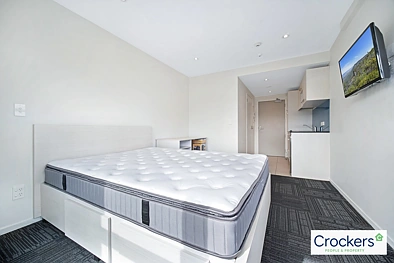 Trendy Studio Architecturally Designed and Built in Eden Terrace
