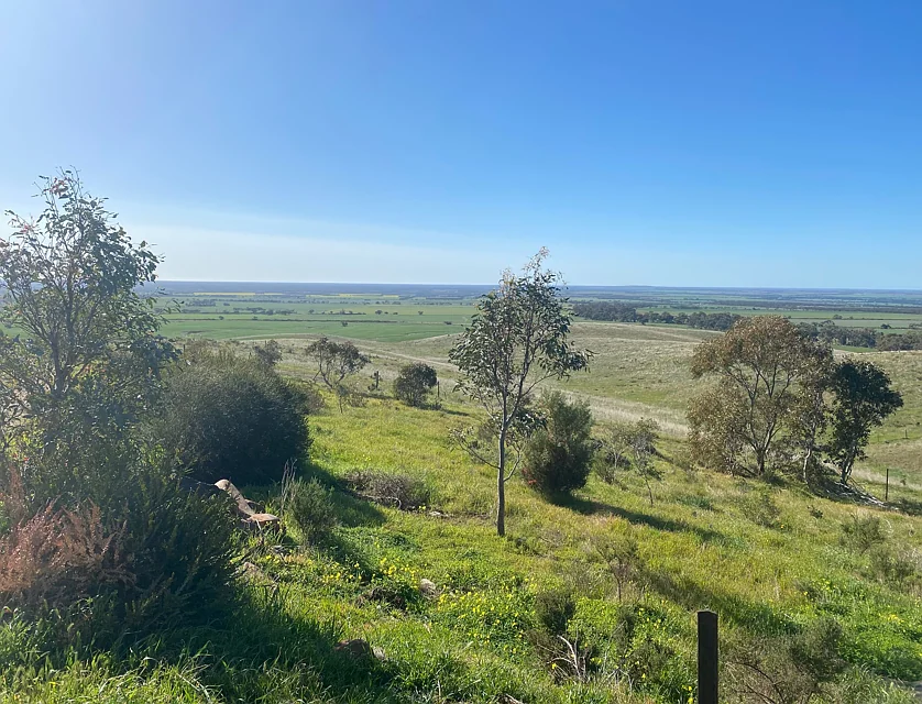 1741 Three Chain Road, Cambrai, SA 5353, 7房, 2浴, Lifestyle Property