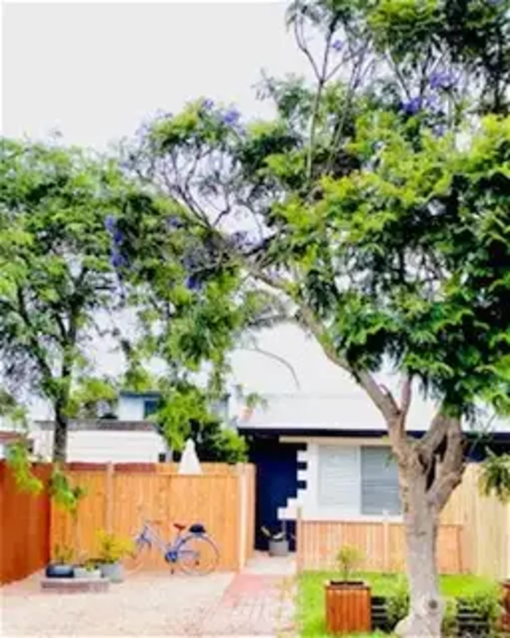 BLUE ECHIDNA - COSY, SELF CONTAINED, FURNISHED STUDIO UNIT