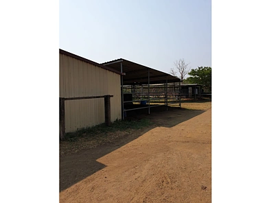 Adres Weerhou, Bundamba, QLD 4304, 3 slaapkamers, 1 badkamers, Lifestyle Property