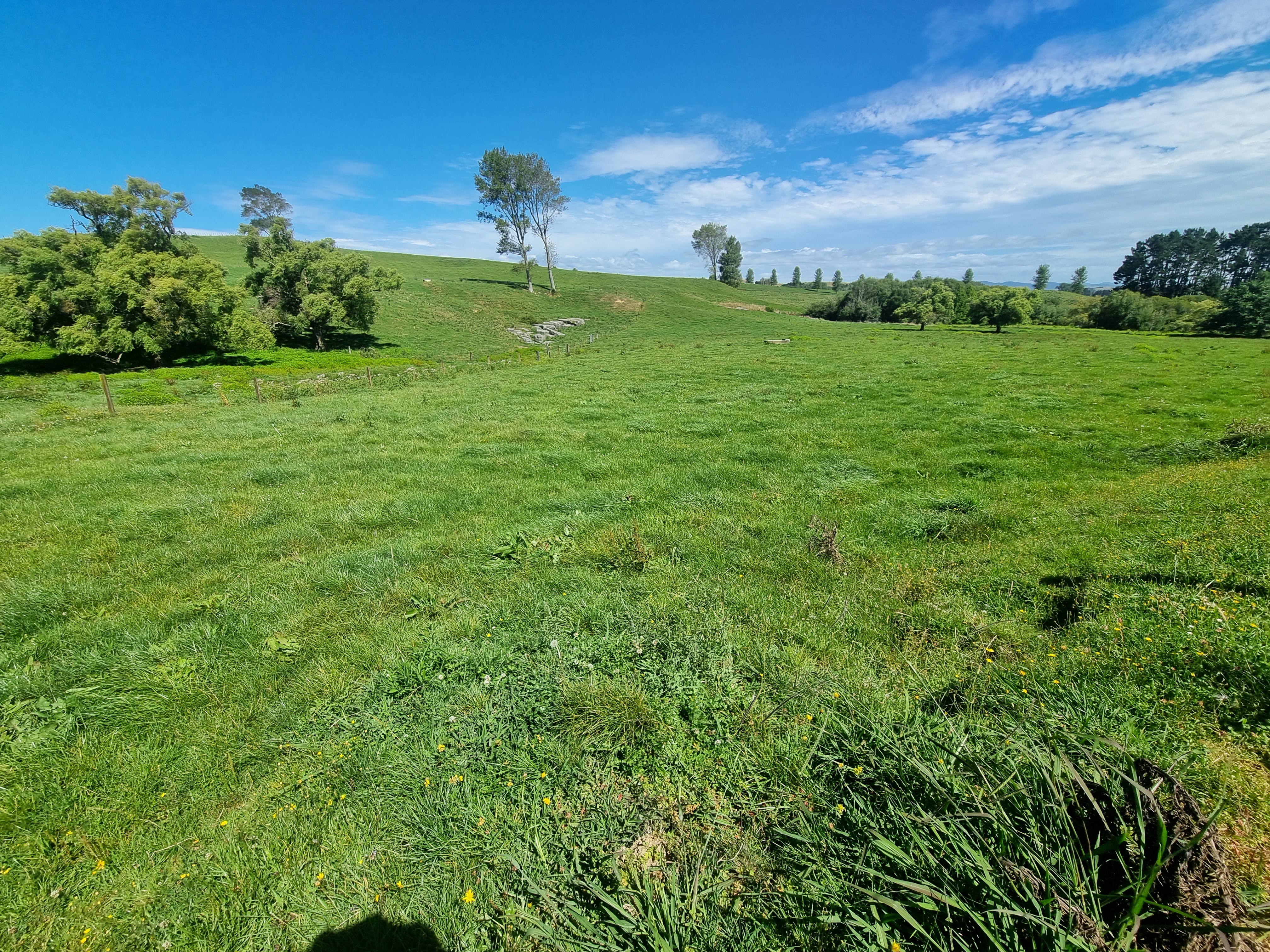 Paekaka Road, Piopio, Waitomo, 0 कमरे, 1 बाथरूम, Grazing