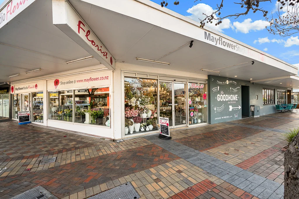 Blenheim Central Ideal Commercial Investment for Sale!