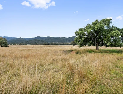 "Part Mountain View" Black Mountain Creek Road Maules Creek via, Narrabri, Tamworth, 0 Kuwarto, 0 Banyo, Lifestyle Property