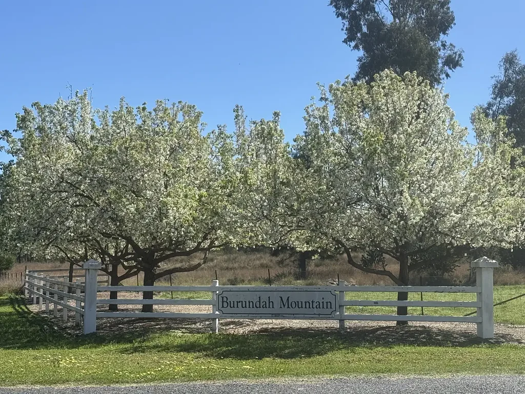 Warialda  HillTop Farm - Lifestyle Block on Acres