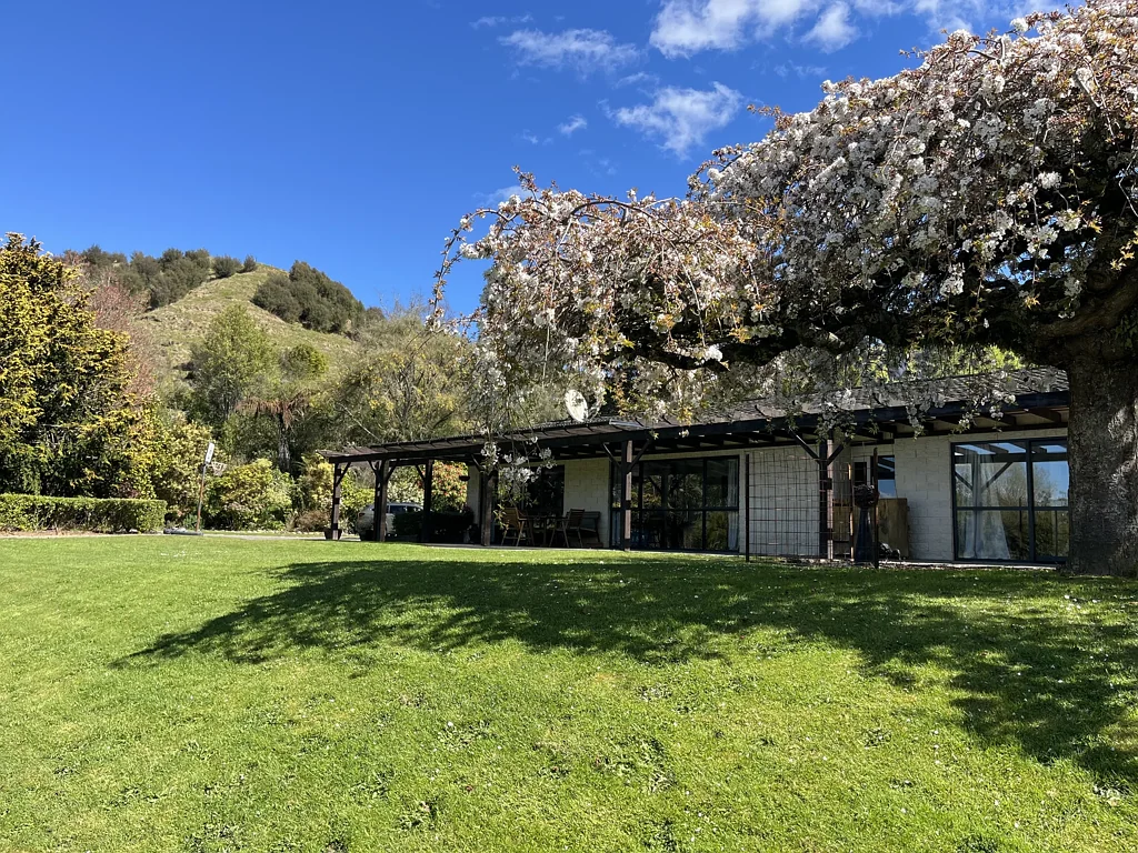 Raetihi Lifestyle opportunity with income potential