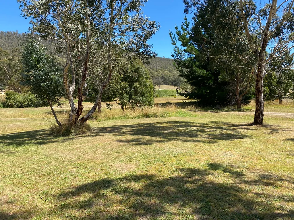 Mole Creek  Mt Roland Views
