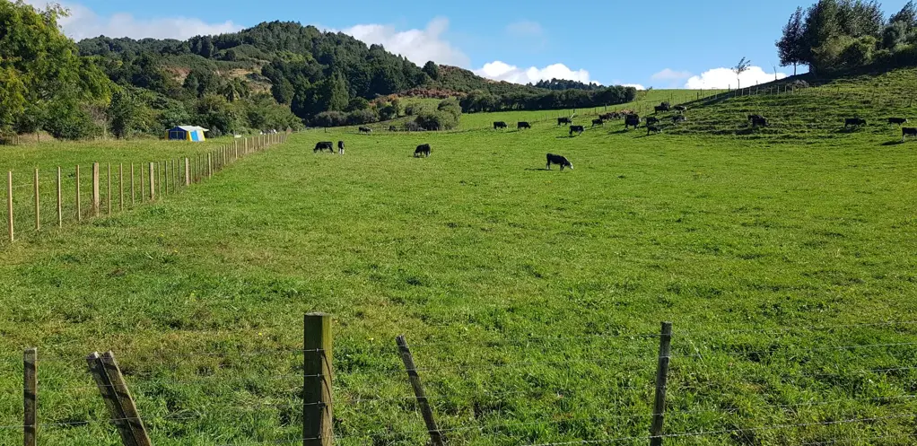 Waikino Lot 5: 6116m2 - 18 Princes St