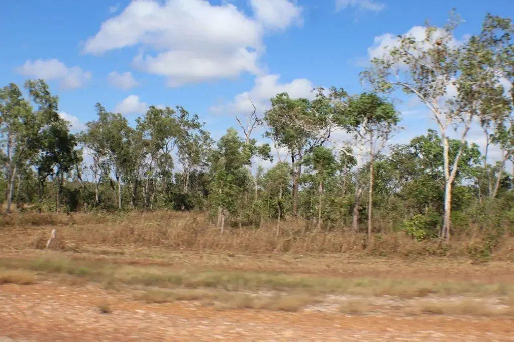 LOT 2869/21 Mielang Road, Blackmore, NT 822