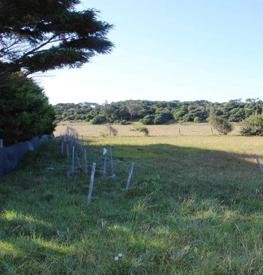 Venus Bay Imagine Waking Up to Ever-Changing Farmland Views...