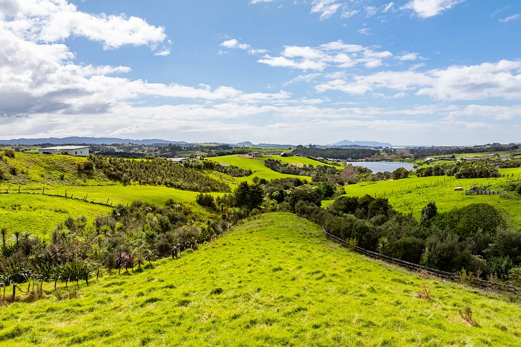 Mangawhai  Dream big