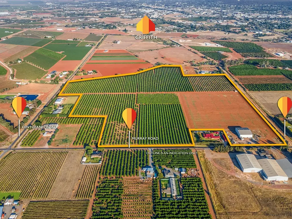 Yoogali  Golden Citrus Farm Prospect
