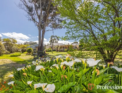 18 Somerville Street, Manjimup, WA 6258, 3 ਕਮਰੇ, 2 ਬਾਥਰੂਮ, House