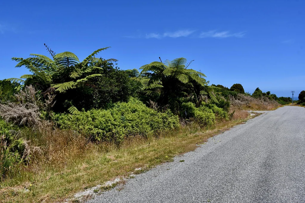 Karamea  If Nature Calls