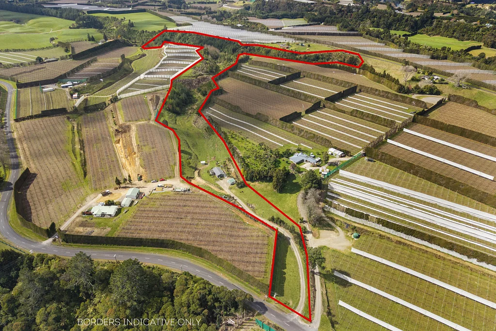 Te Puke Lifestyle plus potential