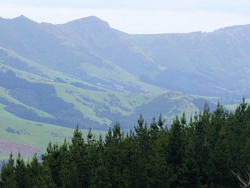 Rural Banks Peninsula