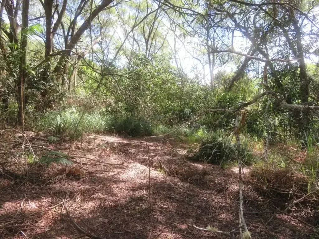 Evelyn  It’s here – land, creek and abandoned shed project on 2.11ha or 5.21 acres in Evelyn on the Atherton Tablelands.