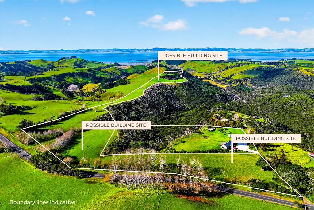 Helensville A Rare South Head Holding