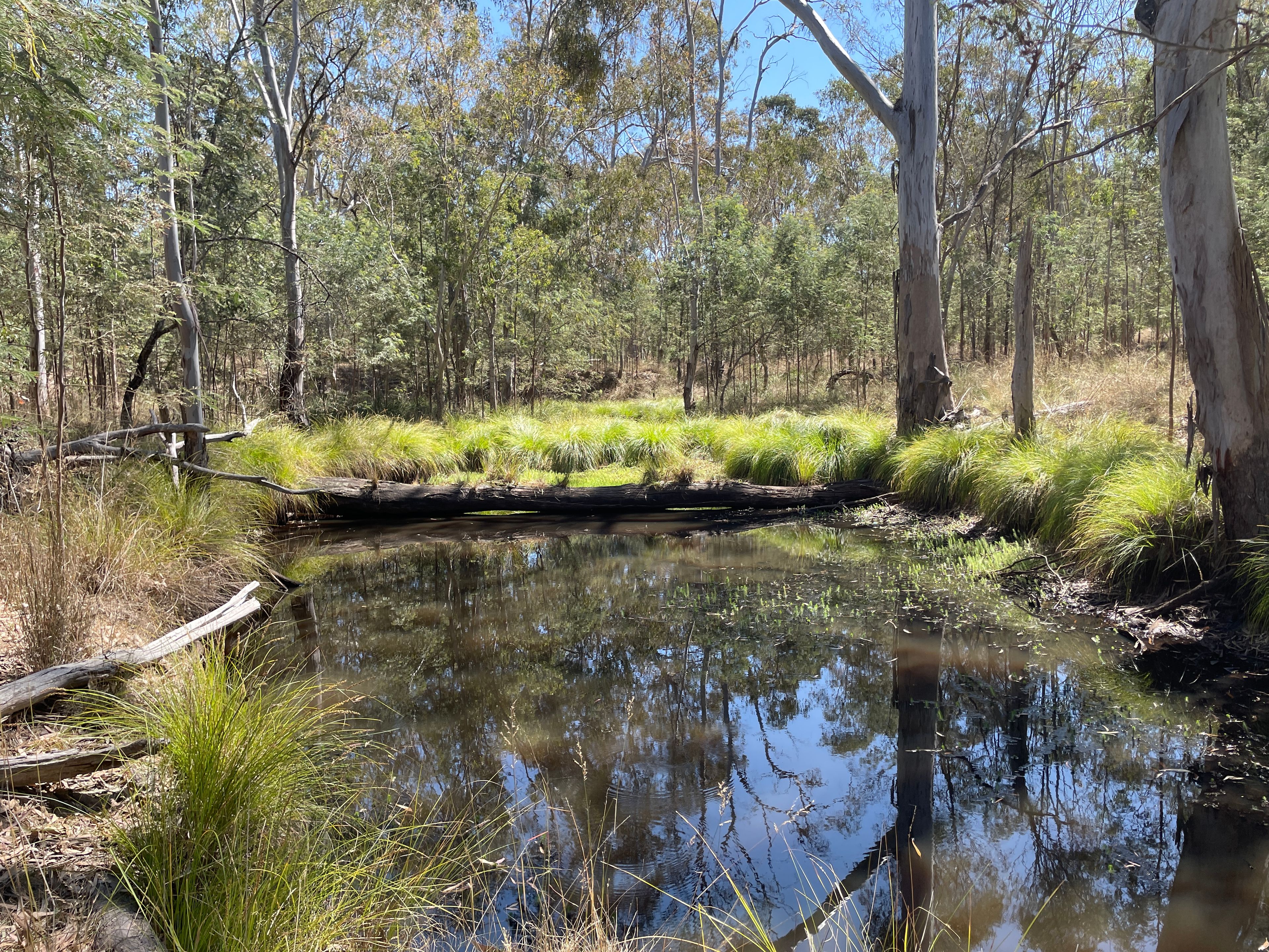 1 CANNINGVALE RD, WARWICK QLD 4370, 0 غرف, 0 حمامات, Lifestyle Property