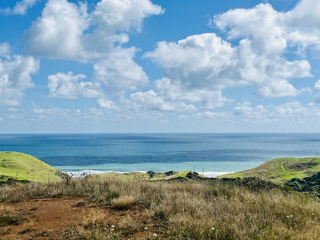 Raglan Forever Views