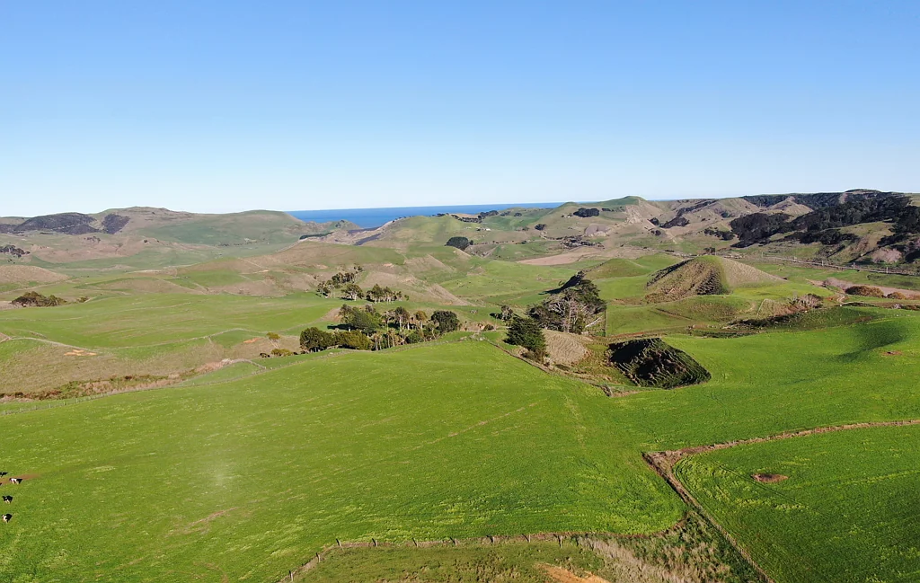 Te Akau Cropping and Cattle - Matira