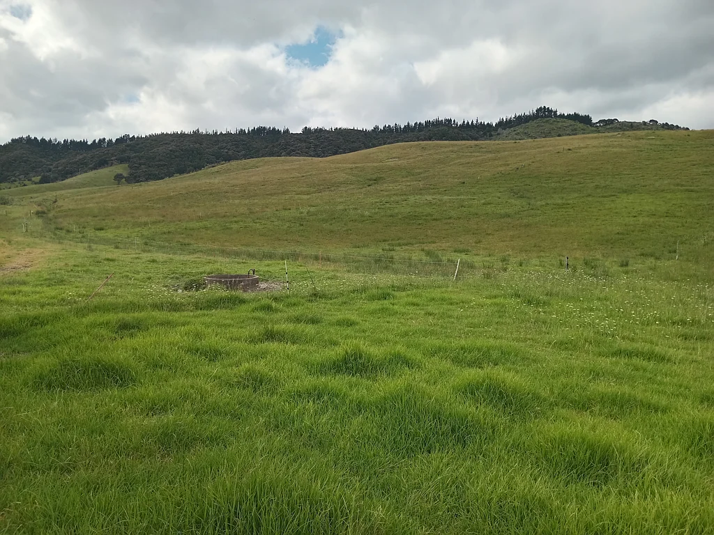 Taipa  Lifestyle Farming Opportunity