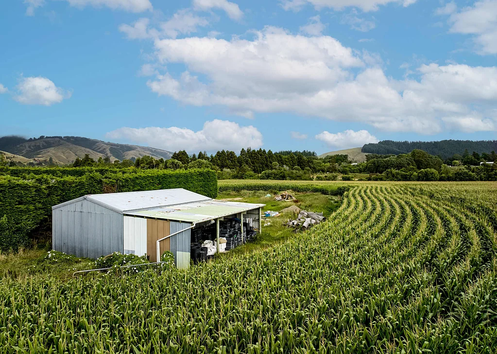 Manakau Rural Paradise: 21 Acres with Serene Mountain View