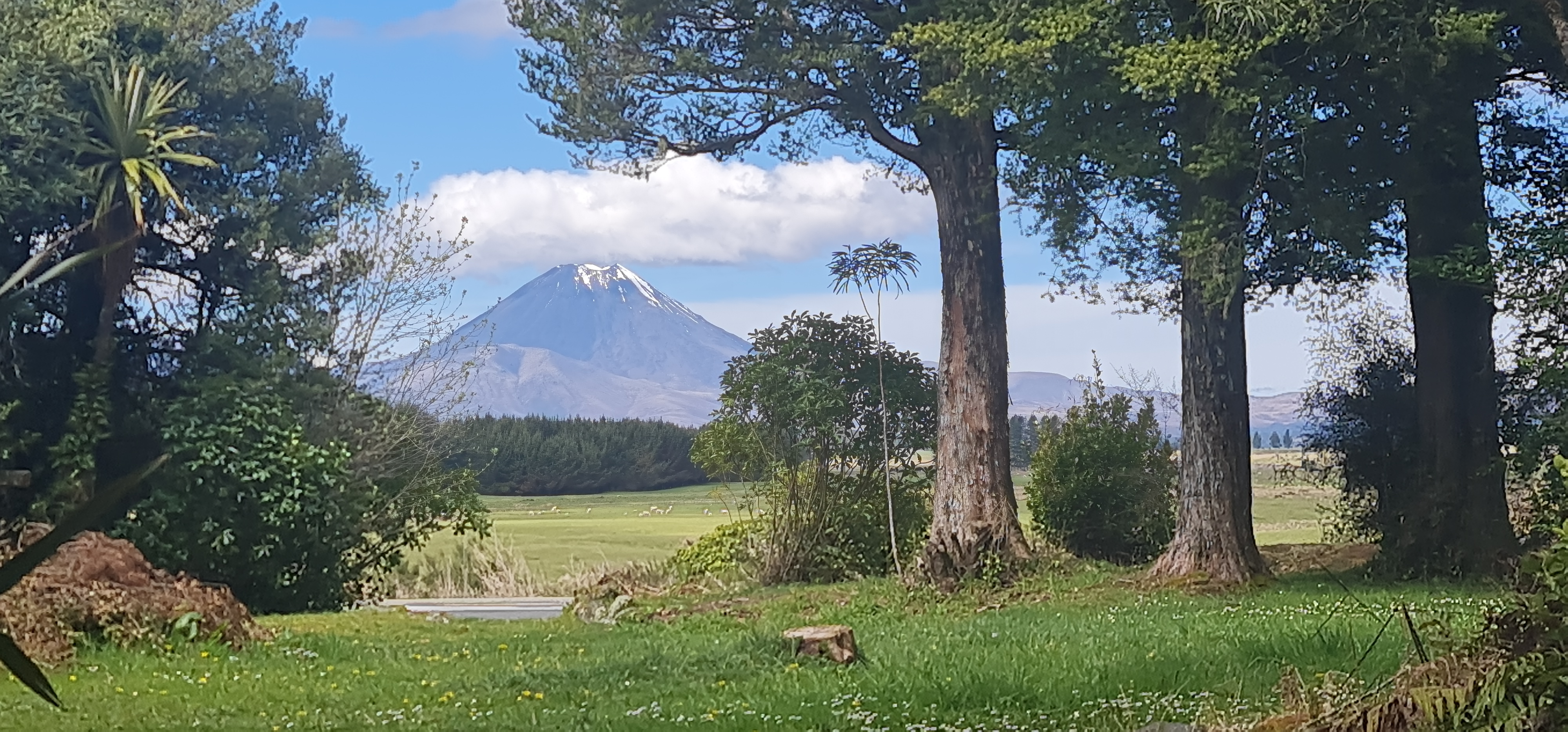 13 Findlay Street, National Park, Ruapehu, 1 Schlafzimmer, 1 Badezimmer, Section