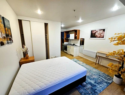 3B/82 Wakefield Street, Auckland Central, Auckland City, 1房, 1浴, 整租公寓