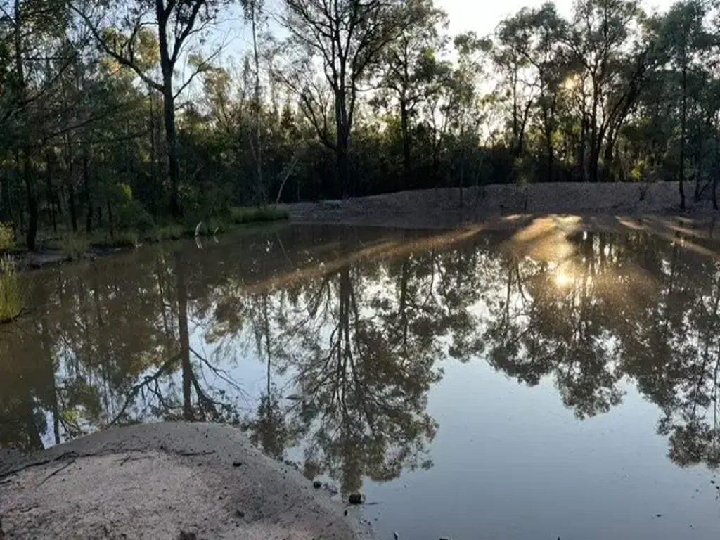 Tara 34.47 Acres with a dam