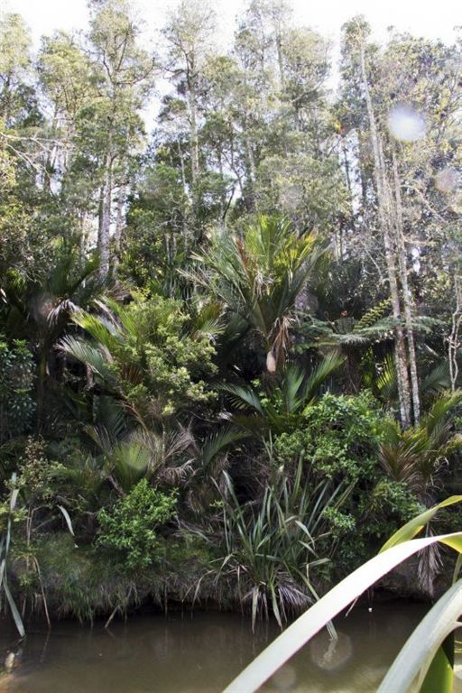 36b Forest Glen, Orewa, Auckland - Rodney, 4房, 0浴